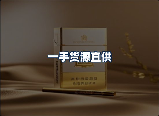 专业团队办公环境